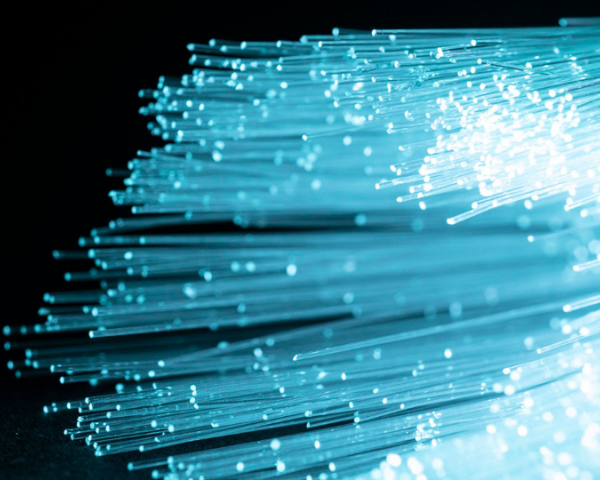 Unleashing the Potential of Dark Fiber: Facilitating Digital Transformation in the Public Sector