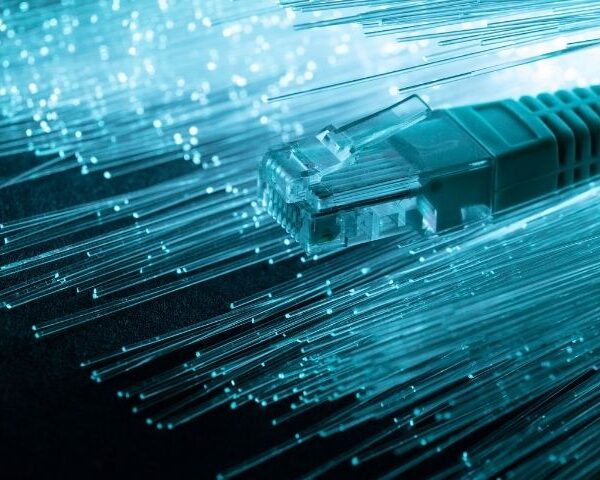 Parliamentary Committee Highlights BharatNet Shortcomings, Calls for State-Level Audit of Rural Broadband